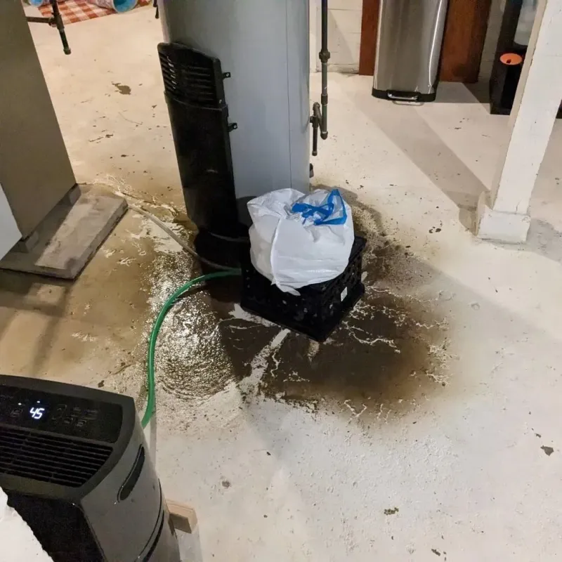Sewage Backup Cleanup Service in Byers, CO
